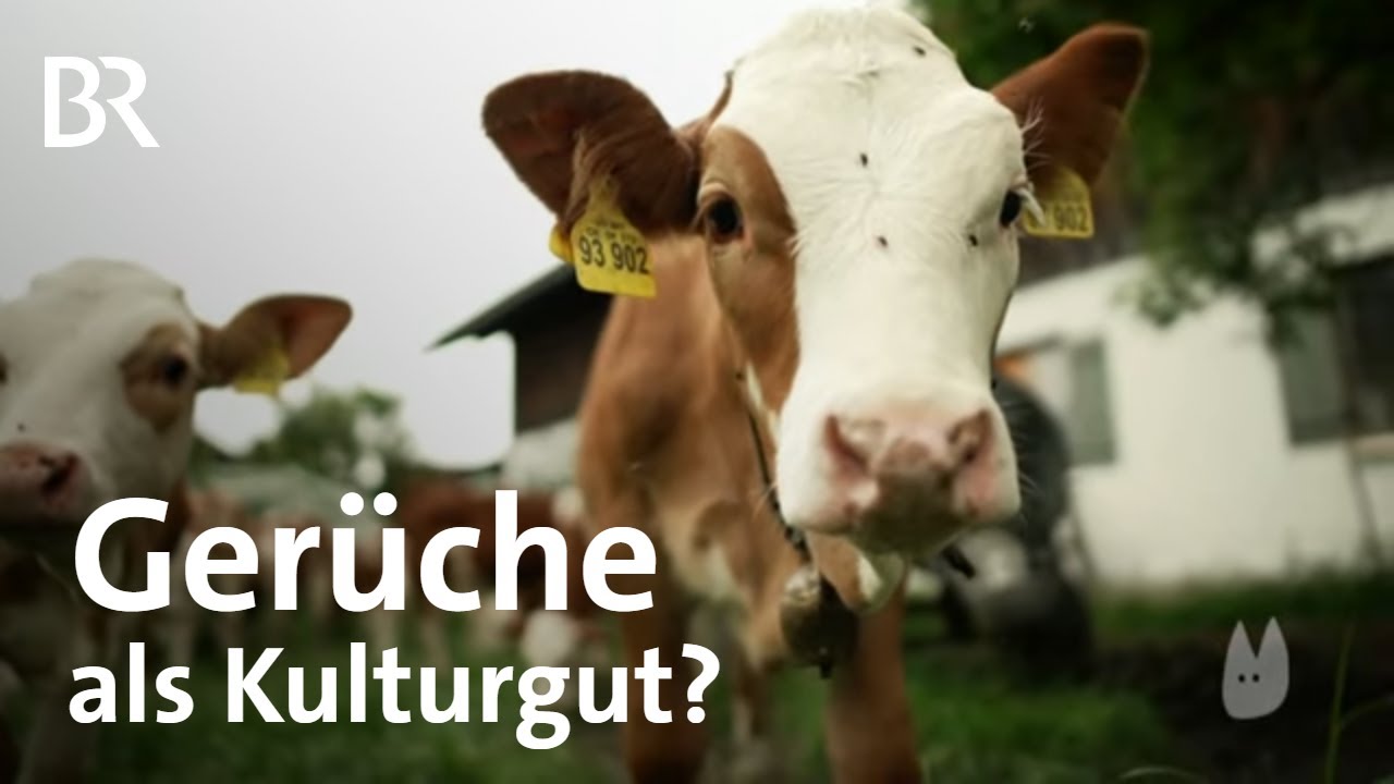 Kulturgut Sinneserbe: Hahnenschrei, Kirchenglocken, Mist | Capriccio | Kulturmagazin | BR