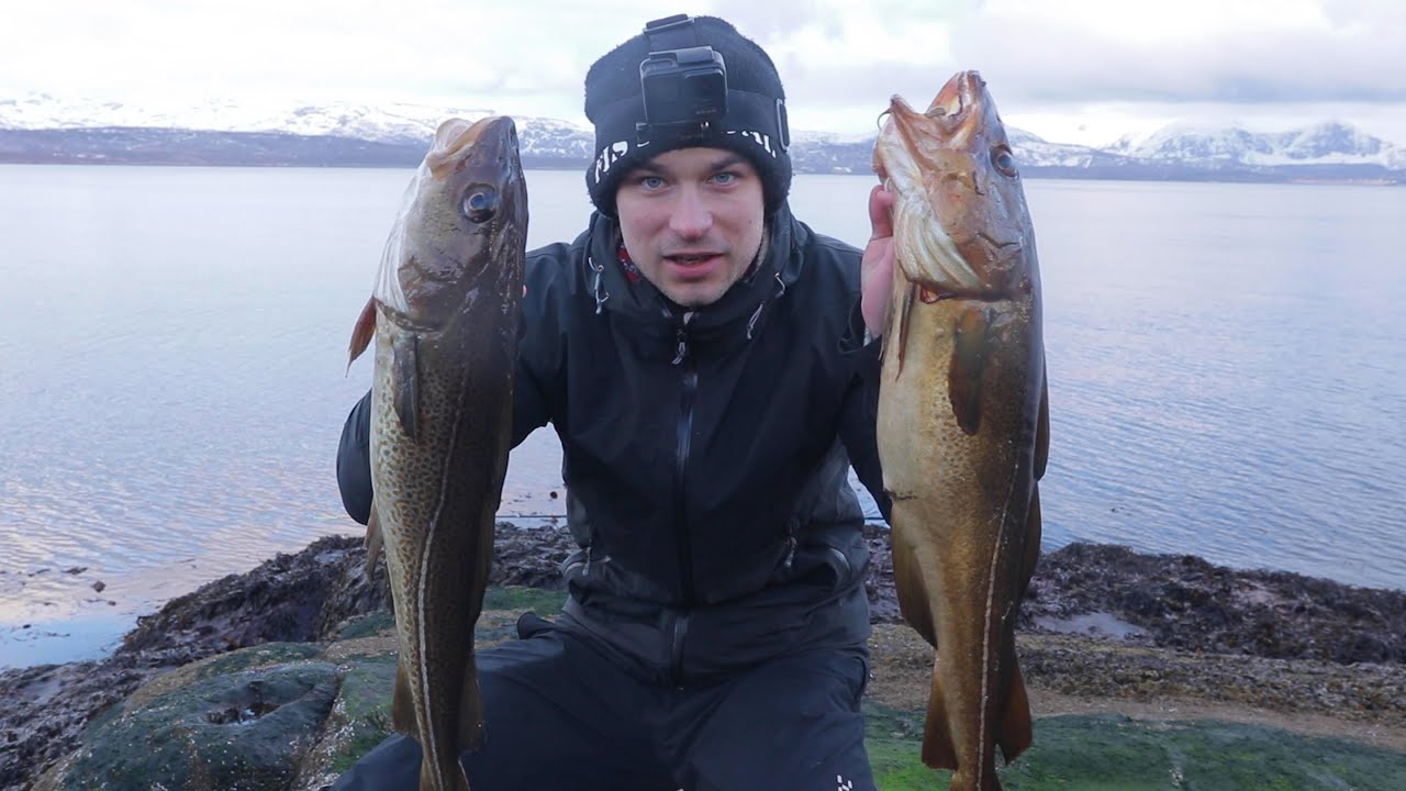 Fisking - Torsk fra Land og Ørret på Isen