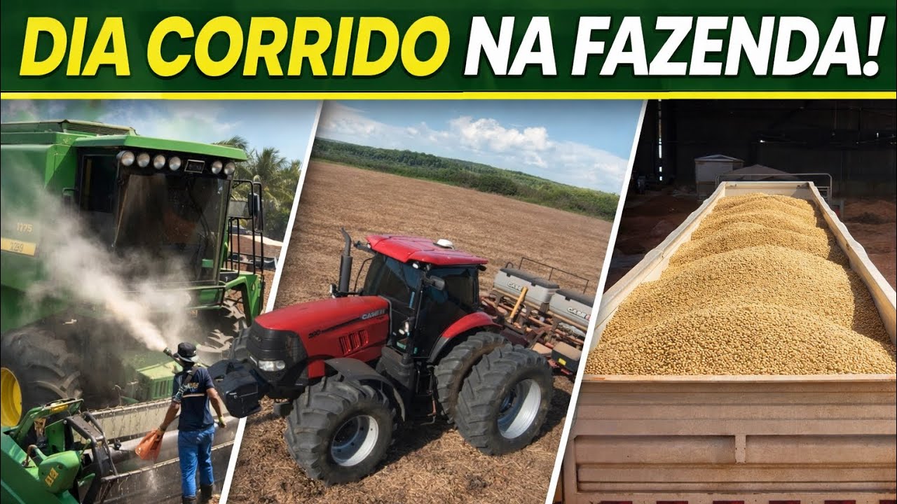 COMEÇAMOS O DIA NA JD 1175 E TERMINAMOS CARREGANDO SOJA!