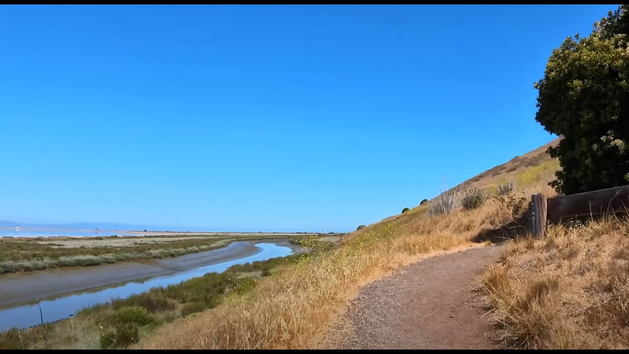 Bay Breeze & Bike Rides: A Chill 50-Mile Journey