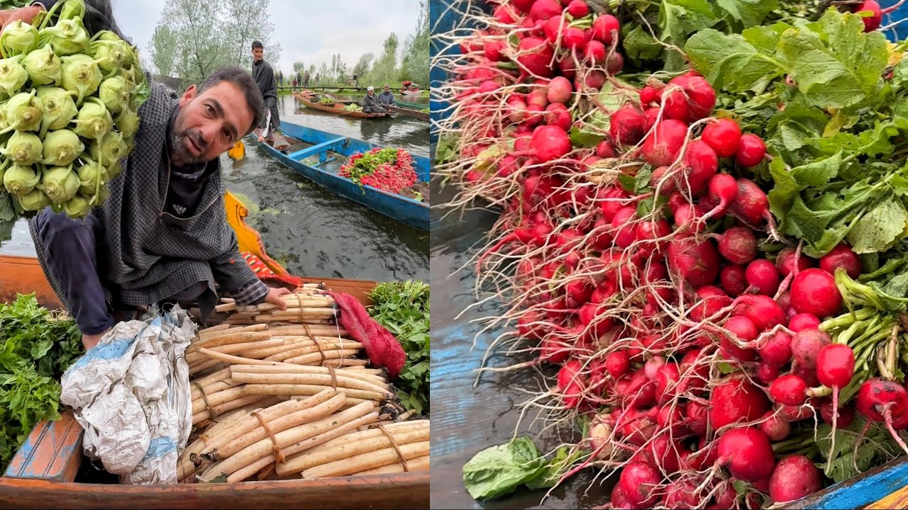 WORLD'S ONLY Floating Vegetable Market in Kashmir😱😱 दुनिया की सबसे निराली सब्जी मंडी😳😳