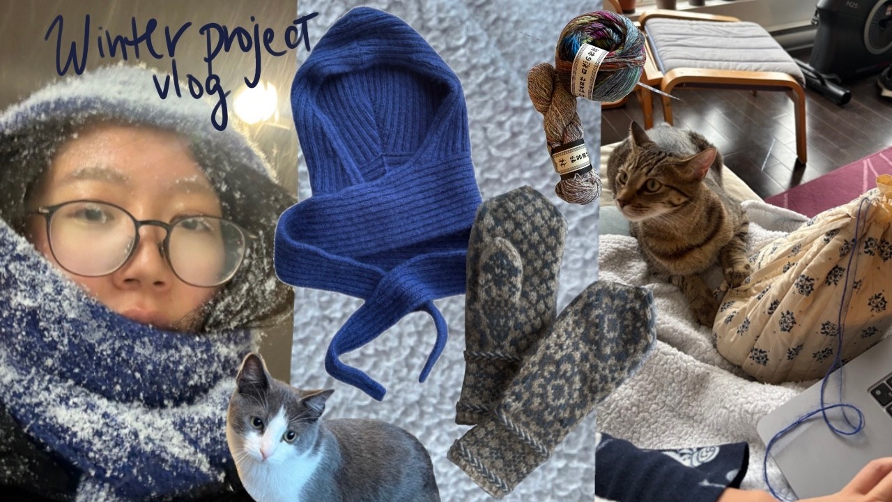 winter project vlog - Alex Hood and Marit Mittens! feat cat sitting