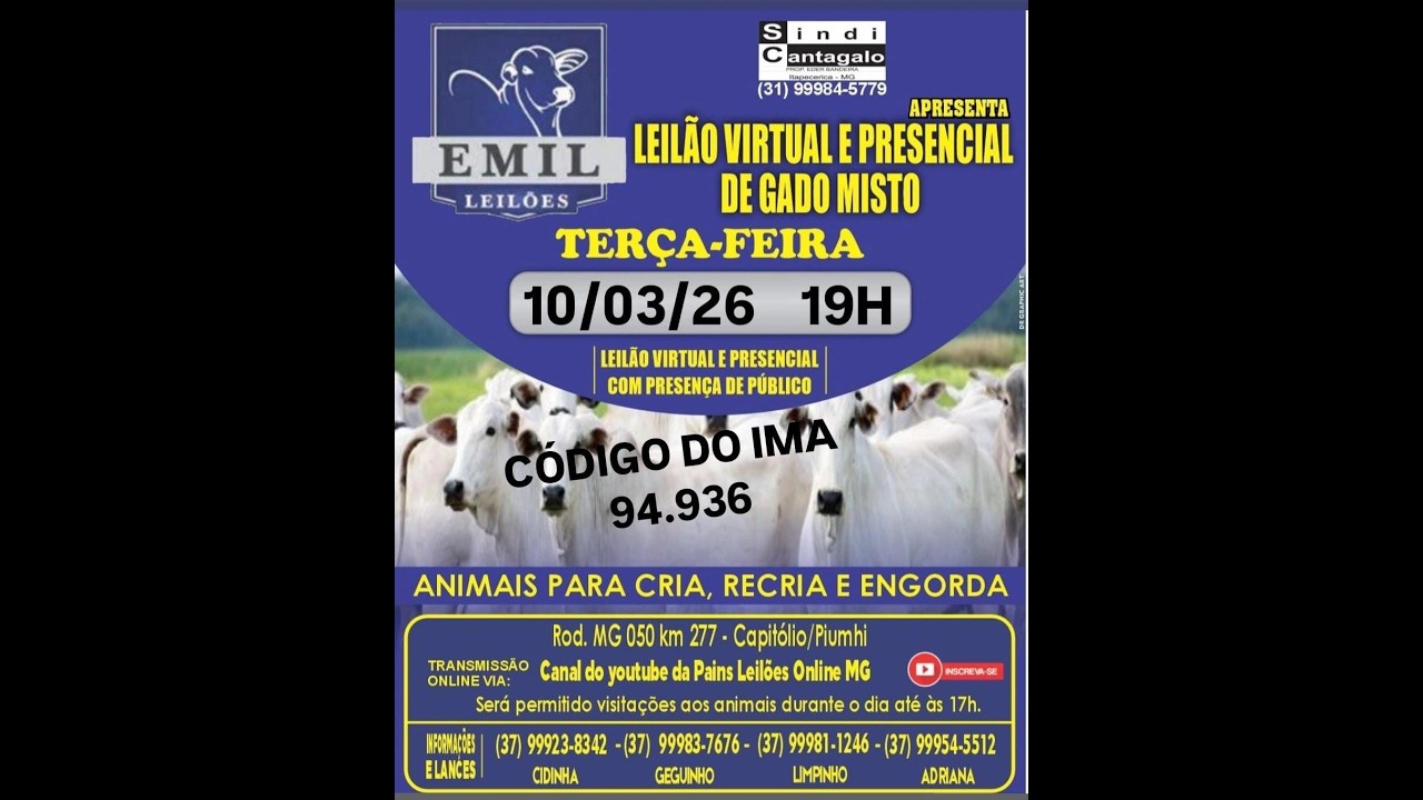 130º Leilão Virtual - EMIL Leilões - Capitólio/Piumhi - MG