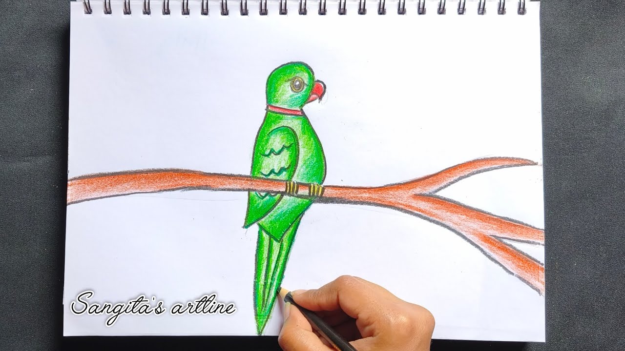 Beautiful Green Parrot Drawing Step by Step 🐦 ||Easy Bird Art Tutorial #art #parrotdrawing #artvideo