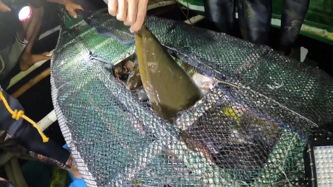 Buti DUMAMI na ulit at MALALAKI pa | Nigth dive atUnboxing
