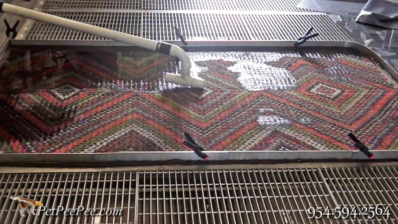 Cleaning kilim Oriental rugs Mrs. Lori from Texas | PetPeePee