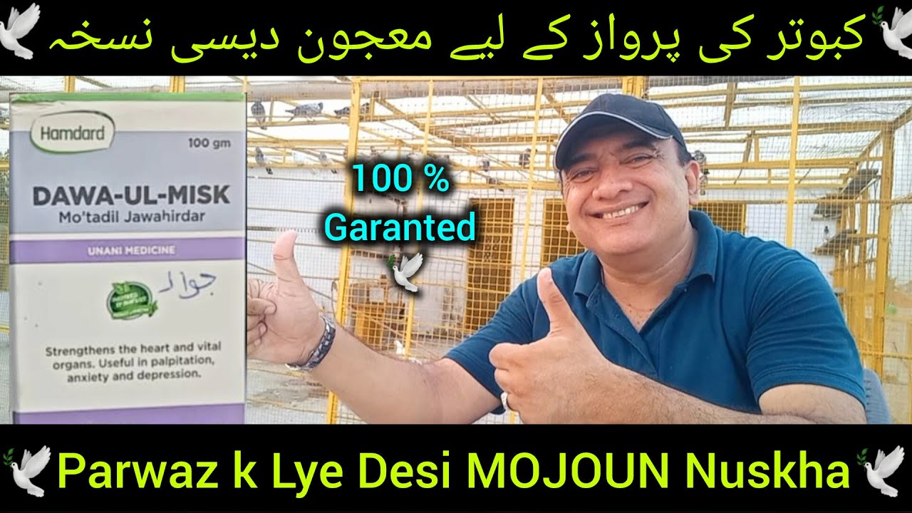 Kabootar ki parwaz ke lye Majoun nuskha | kabutar k lye desi Majoun Nuskha