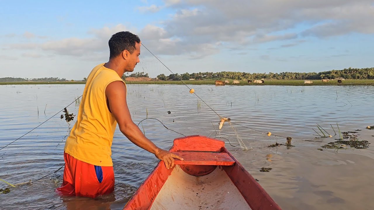 Peguei um bom almoço de peixes na pescaria de malhadeira 