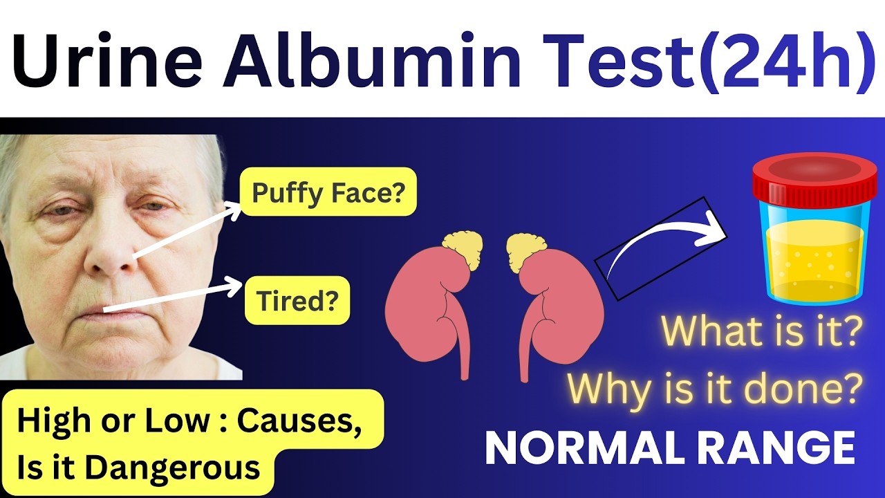 Urine Protein Test (24 hours) | Urine Albumin Test | Microalbumin Test for Urine
