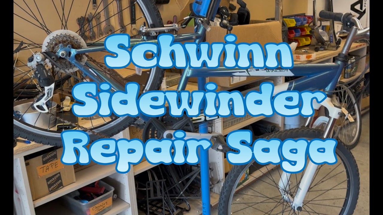 Abused & neglected: Schwinn Sidewinder needs major rehab. Part 1