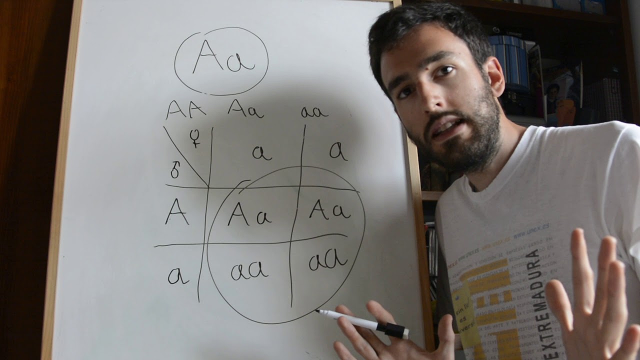 EL TRUCO DEFINITIVO PARA HACER CUALQUIER CRUCE (Curso de genética)