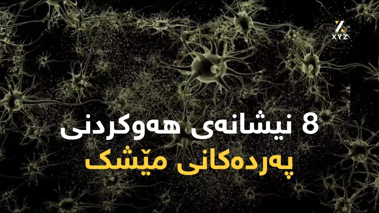 8 نیشانەی هەوکردنی پەردەکانی مێشک
