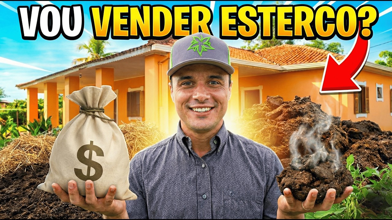 VAMOS MUDAR O TRATO? Danilo Millen Avaliou a Silagem