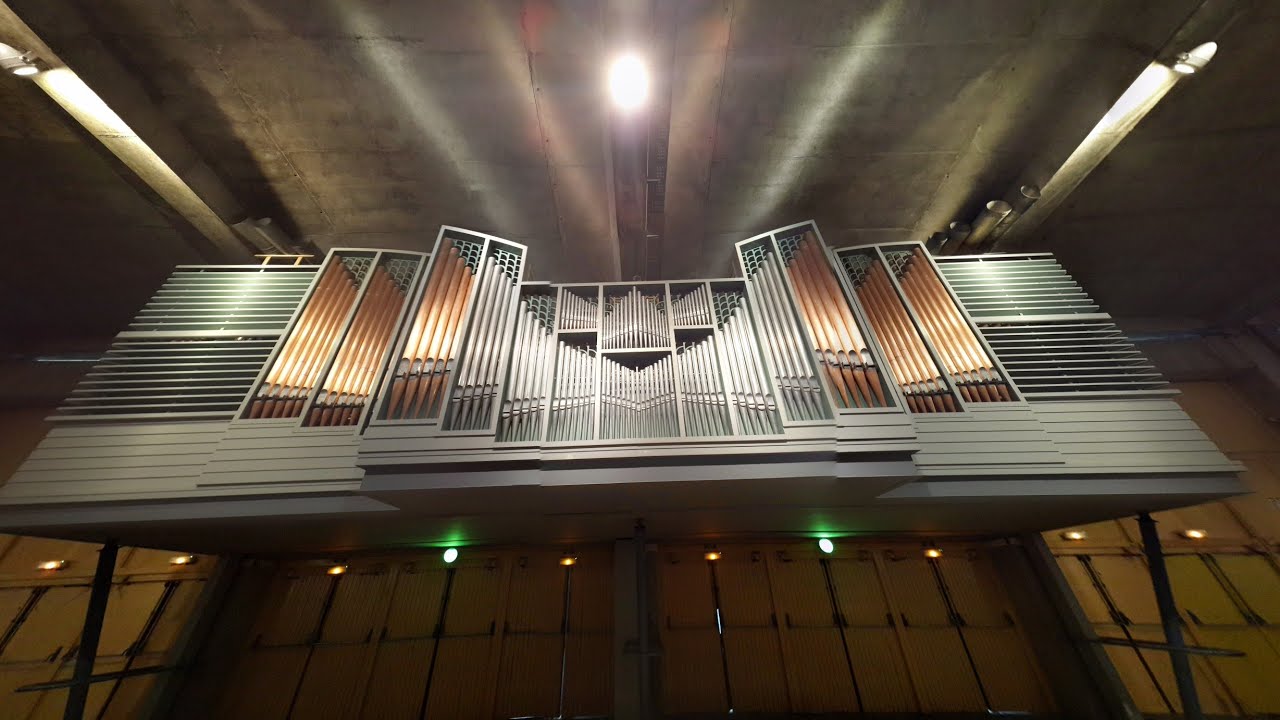 PIPE ORGAN of Basilica of St. Pius X (Lourdes - FRANCE)