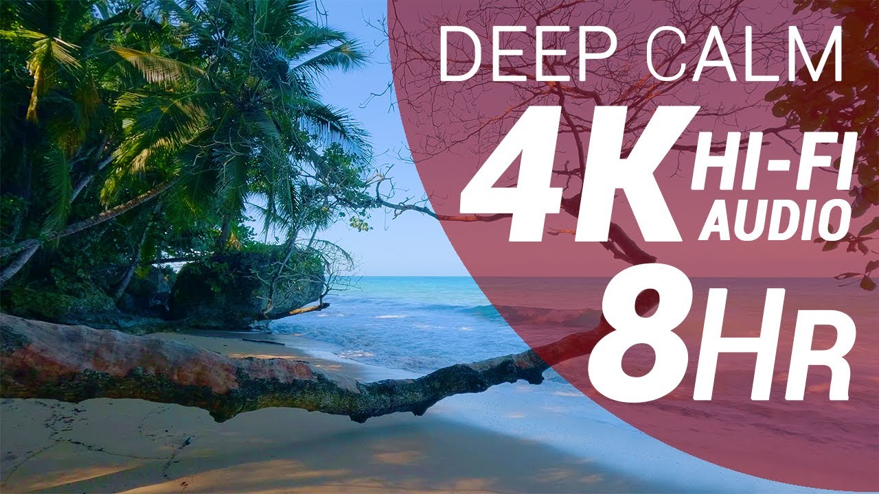 8 Hours of Waves Sounds - Caribbean Beach (4K - Hi-Fi Audio - No Talking)
