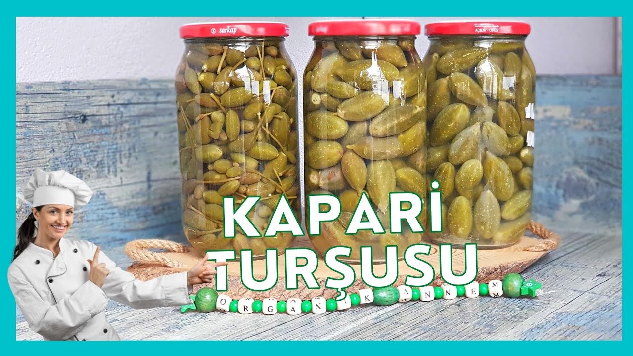 KAPARİ TURŞUSU YAPMAK İSTER MİSİN / KANSER SAVAŞÇISI BU BİTKİNİN TURŞUSUNU MUTLAKA DENEMELİSİN