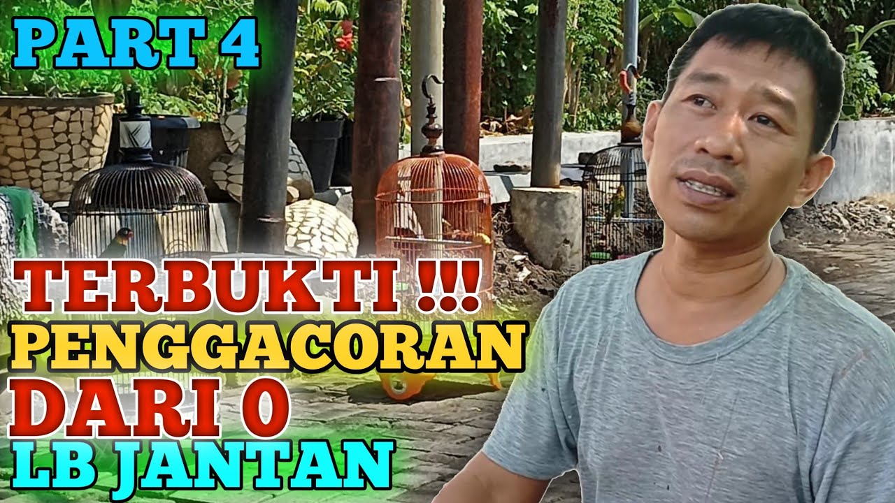 TERBUKTI!!! PENGGACORAN DARI 0 LOVEBIRD JANTAN PART 4