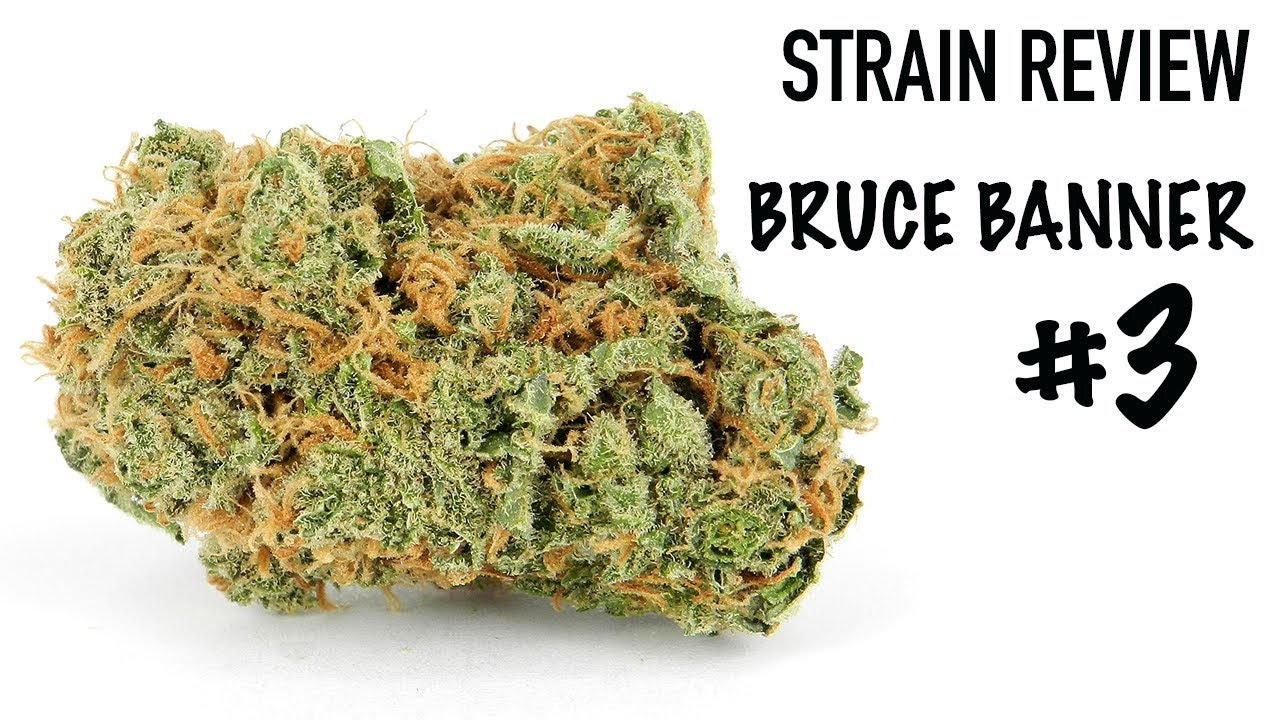 WEED STRAIN REVIEW: BRUCE BANNER #3