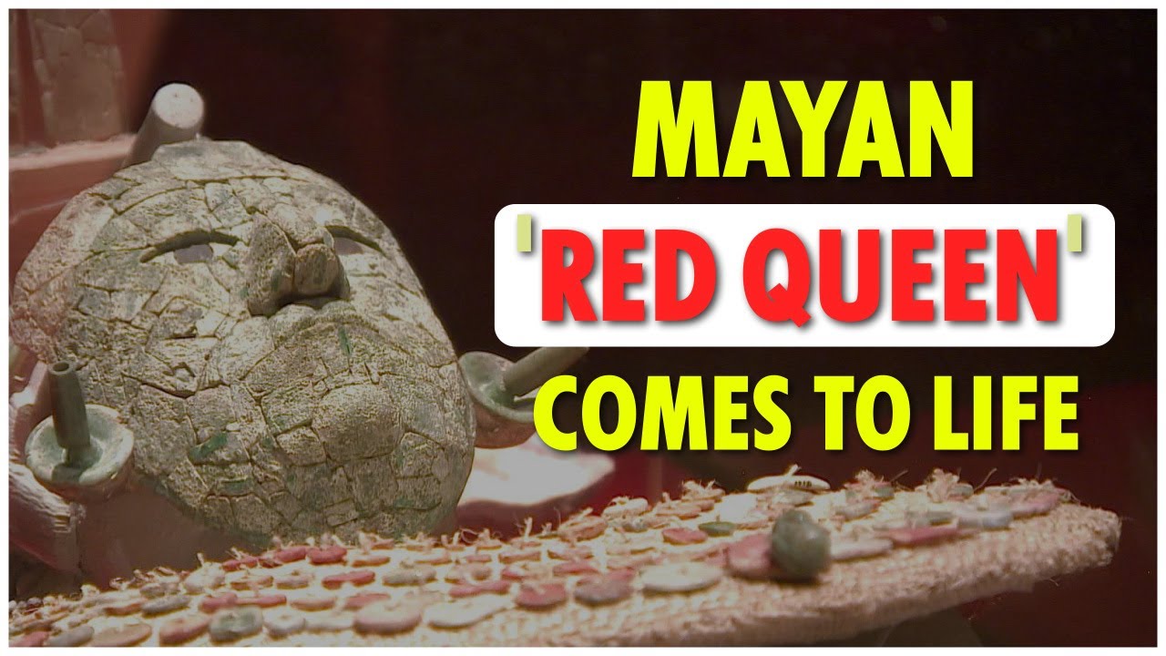 Mayan Red Queen goes on display in Mexico | WION