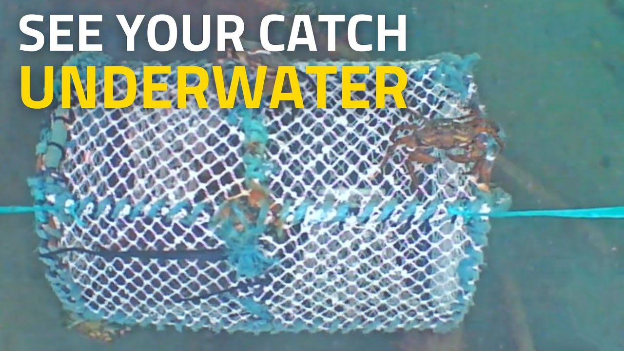 Creel Potting in Scotland filmed with CatchCam Underwater Fishing Camera