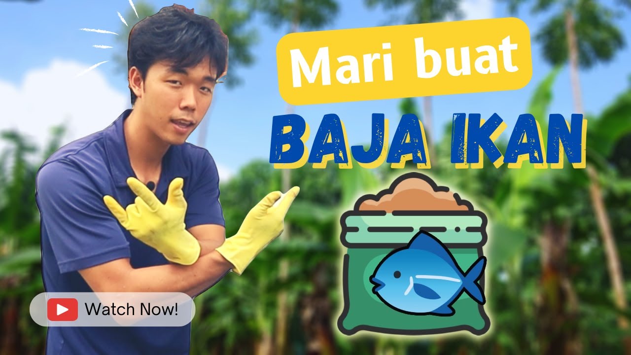 Pertanian Hutan | Mari buat baja ikan