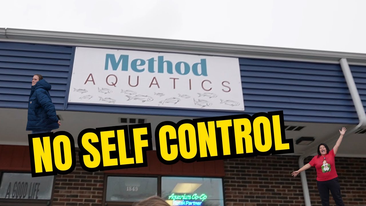 We Went to Method Aquatics 😍 | Angelfish, Bettas, Halfbeaks & Fish Store Temptation