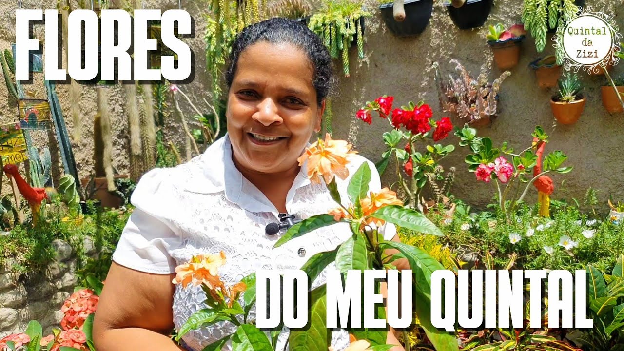 Flores do meu quintal | Plantas de Sol pleno | plantas floridas | rosa do deserto, crossandra, etc.