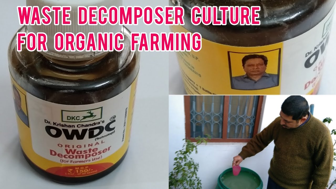 OWDC वेस्ट डीकमपोसर का घोल जैविक खेती के लिए। विषमुक्त प्राकृतिक खेती संभव