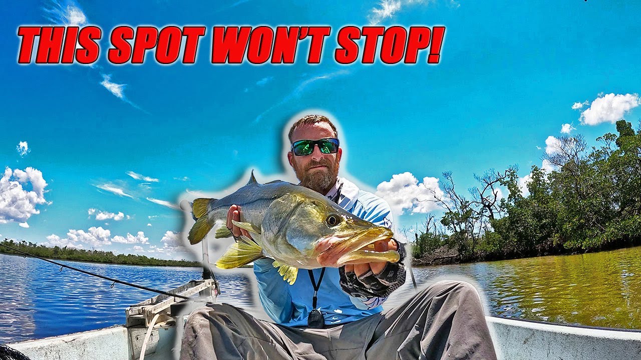 Back Country Mornings and Cut Bait Afternoons: Sanibel Island Fishing At It's best!
