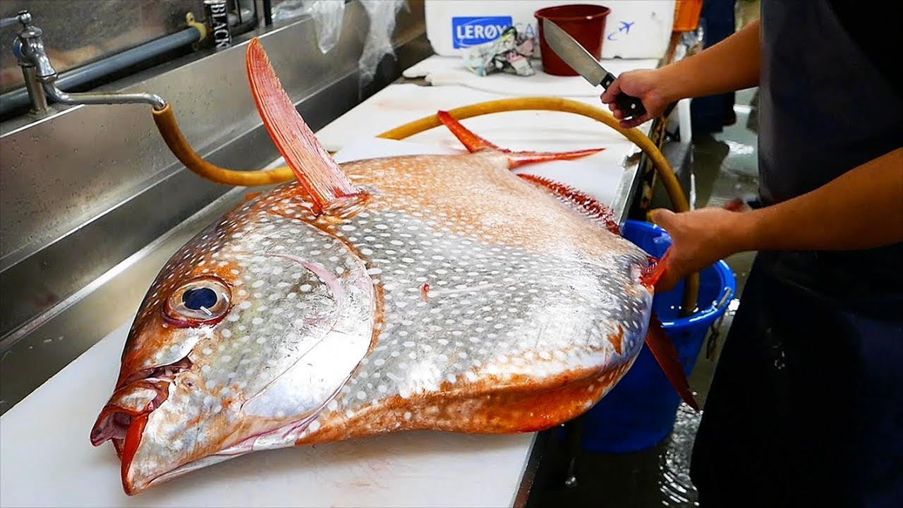 Nhật Bản thức ăn đường phố - C&aacute; mặt trời khổng lồ