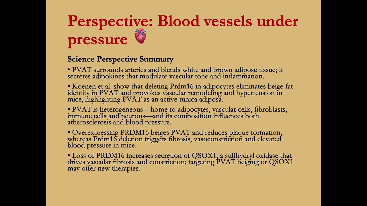 From Beige Fat to BP: What Every Cardiologist Should Know ⚖️💓🩺”