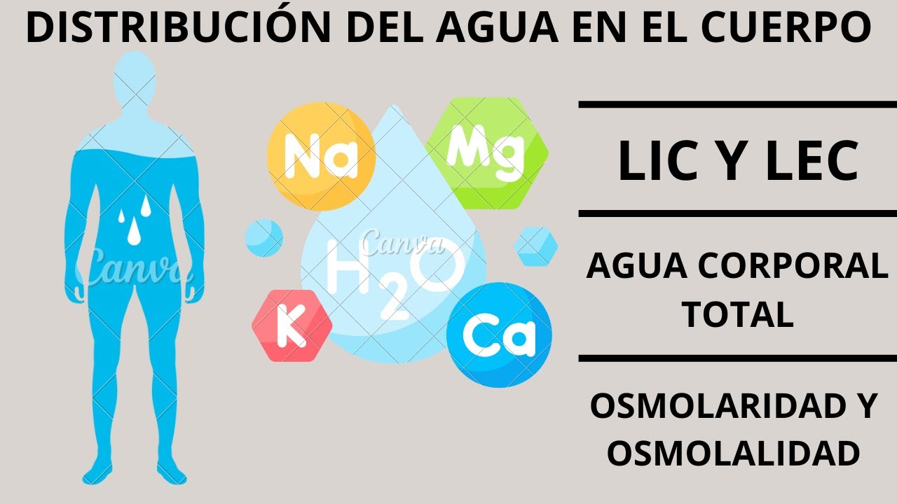DISTRIBUCIÓN DEL AGUA EN EL CUERPO (FISIOLOGÍA CELULAR)