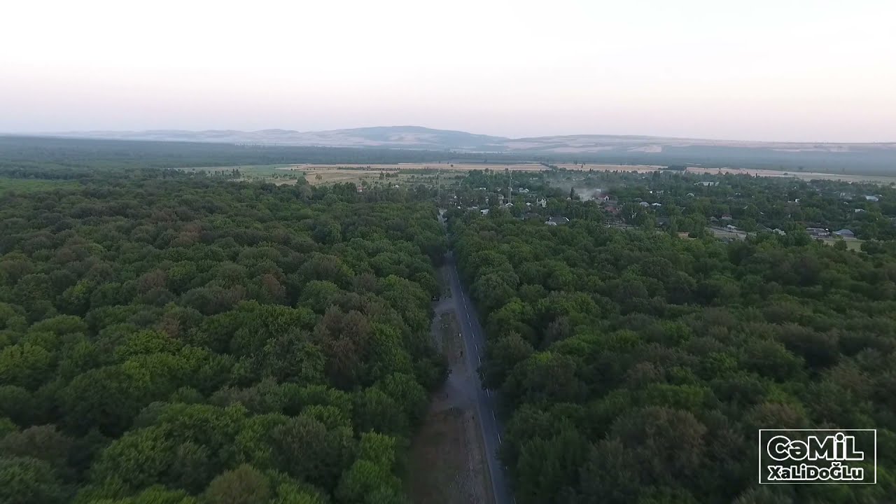 İsmayıllı Rayonu Topçu meşəsi (Topchu forest) #cemilxalidoglu#cəmil_xalidoğlu #ismayıllı #Azərbaycan