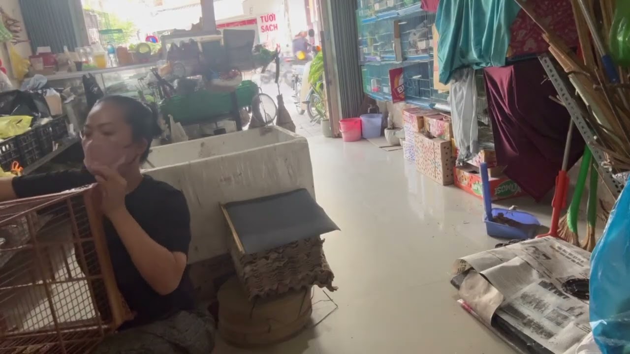 Cuối tuần tranh thủ làm Lồng Thái phom cao , Combo giá sinh viên 🛠️ Cảm ơn khách đã ủng hộ shop ❤️
