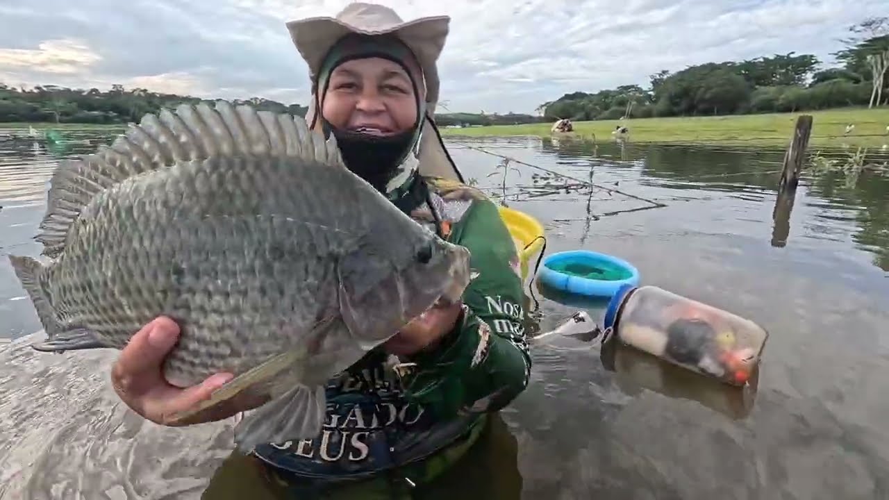 Pescaria de tilápia na  minhoca só as brutas só as gigantes 😱😲🙀🤩