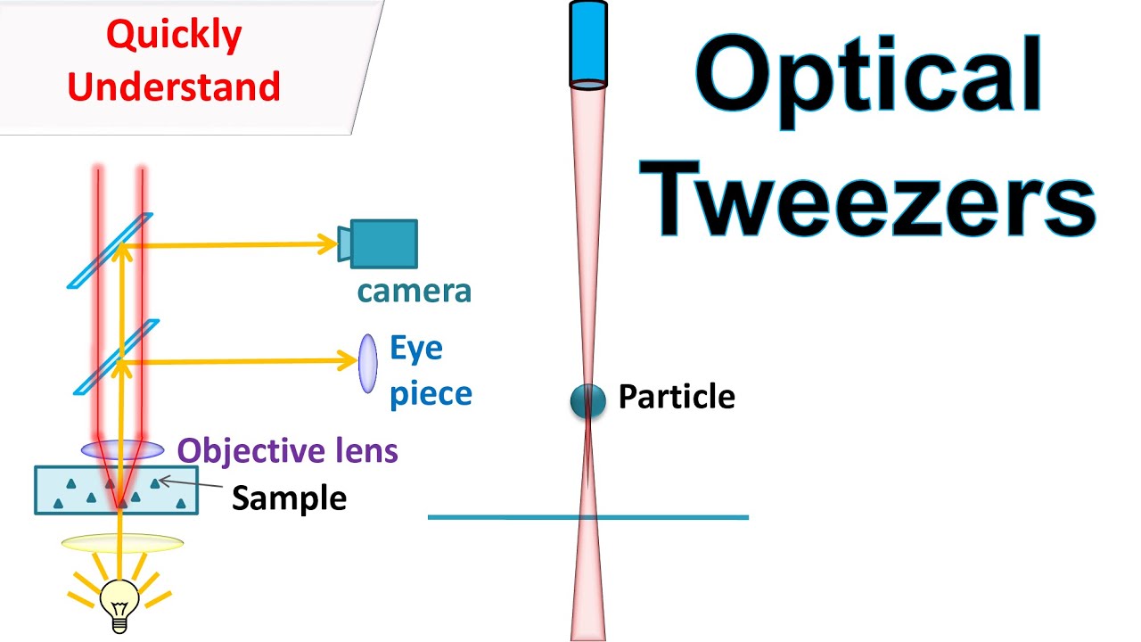 Optical tweezers