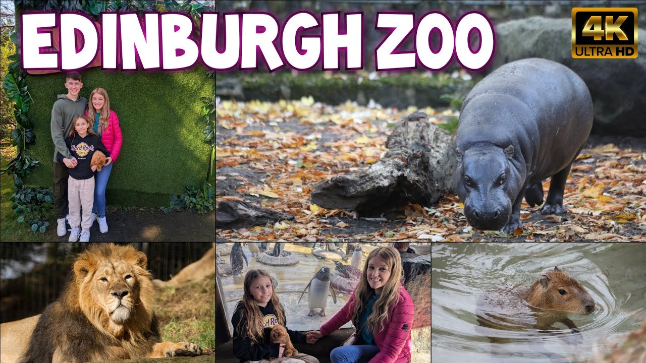 Edinburgh Zoo | Full Tour in 4K | Scotland's Biggest Zoo