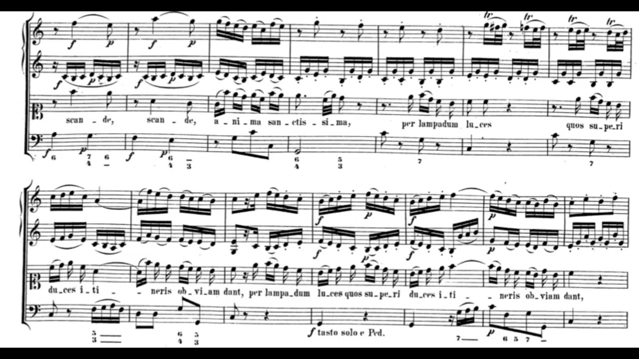 Scande coeli limina (W.A. Mozart) Score Animation