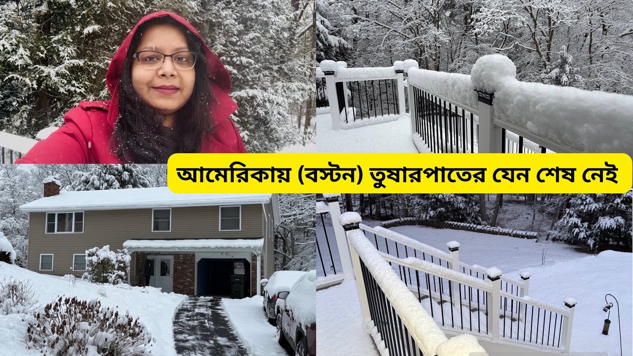 আমেরিকায় আবারও তুষারপাত। Microwave Clean রাখার টিপস এর সাথে আপনাদের কিছু প্রশ্নের উত্তর দিলাম #snow