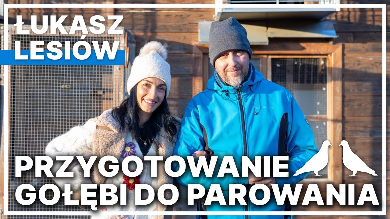 Jak dobrze przygotować gołębie do parowania? Łukasz Lesiów: oddział Jaworzyna-Świdnica