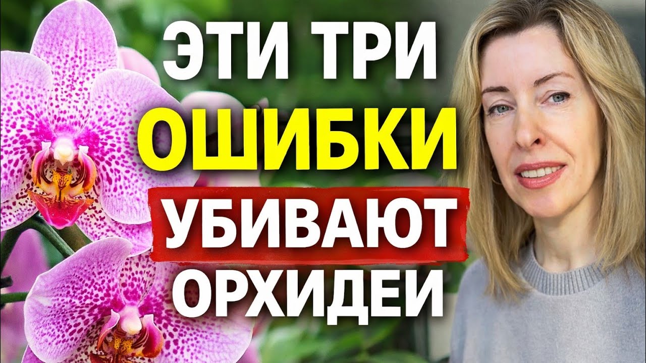 НЕ ДЕЛАЙ ЭТО после пересадки орхидеи! 3 ошибки, которые убивают корни