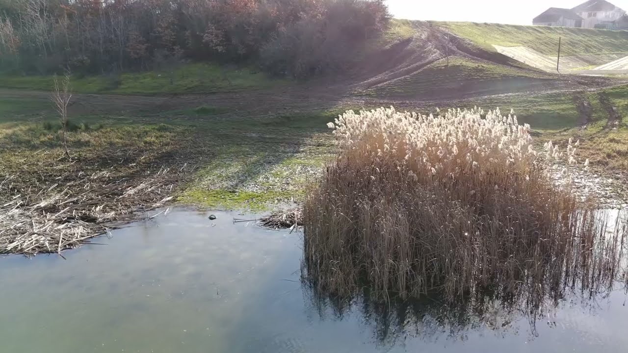 PowerVision PowerEgg X 4K@60fps sample footage
