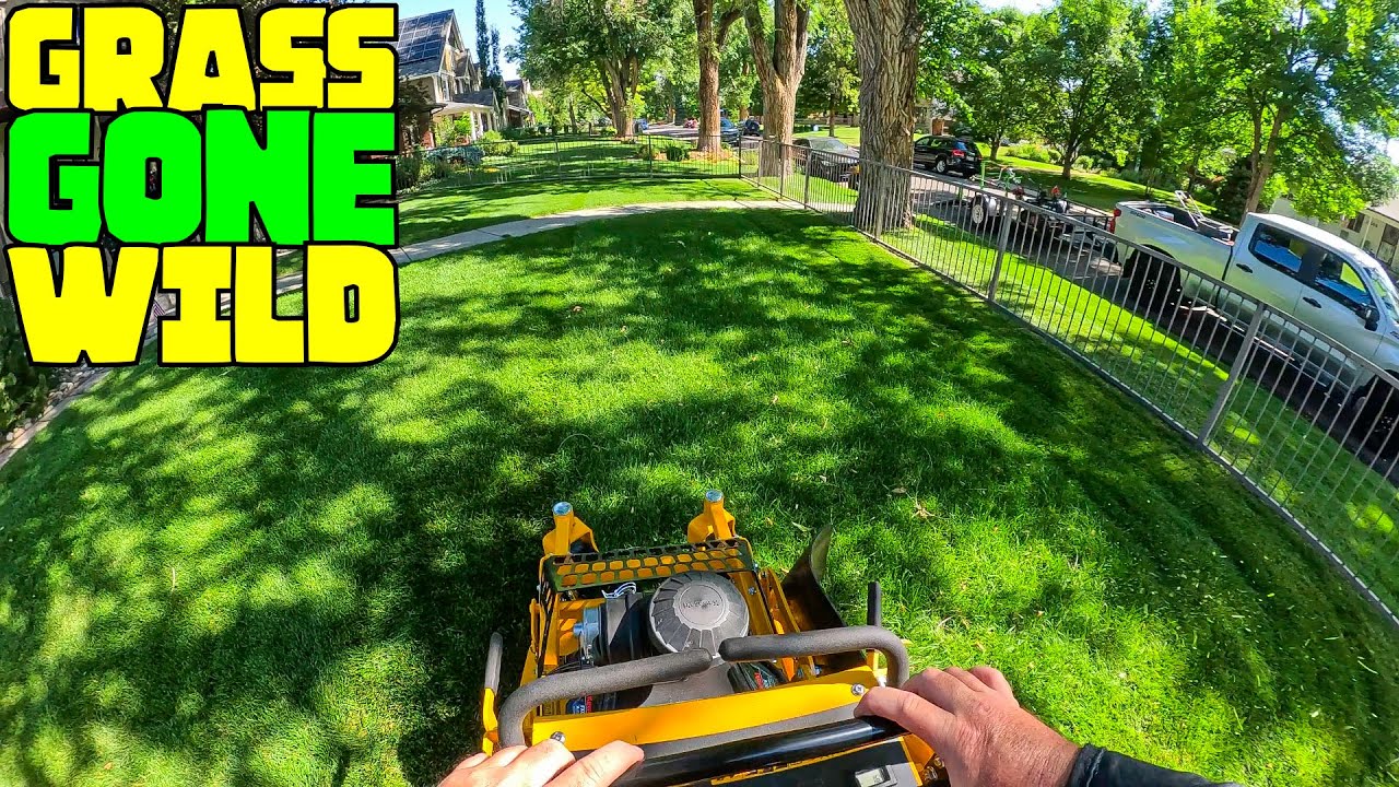 Mowing Mania: Epic Grass Showdown! | Twitch VOD Tuesday #9 Pt. 1