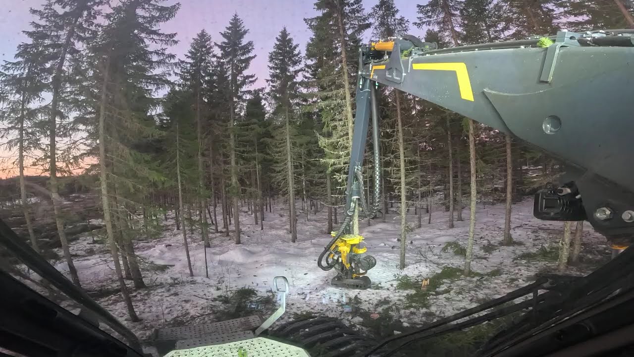 Sista dagen med Ecologen