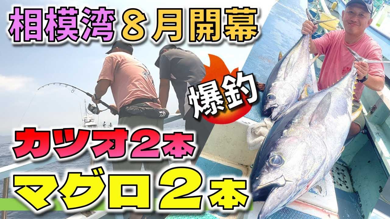 「相模湾解禁」カツオ・マグロHITで最高な釣行でした！【コマセ・エビング】