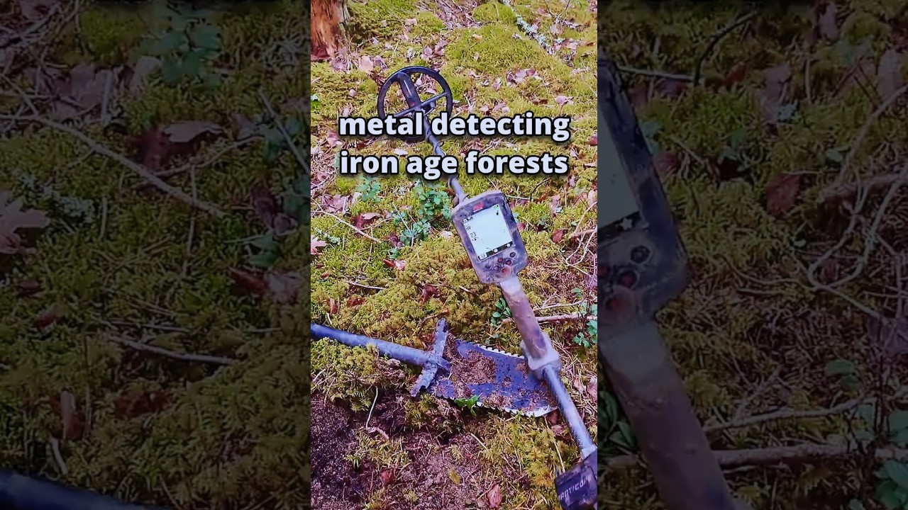 metal detecting magical forests in Finland!  #ancientrelics #vikingage #finland #metaldetecting