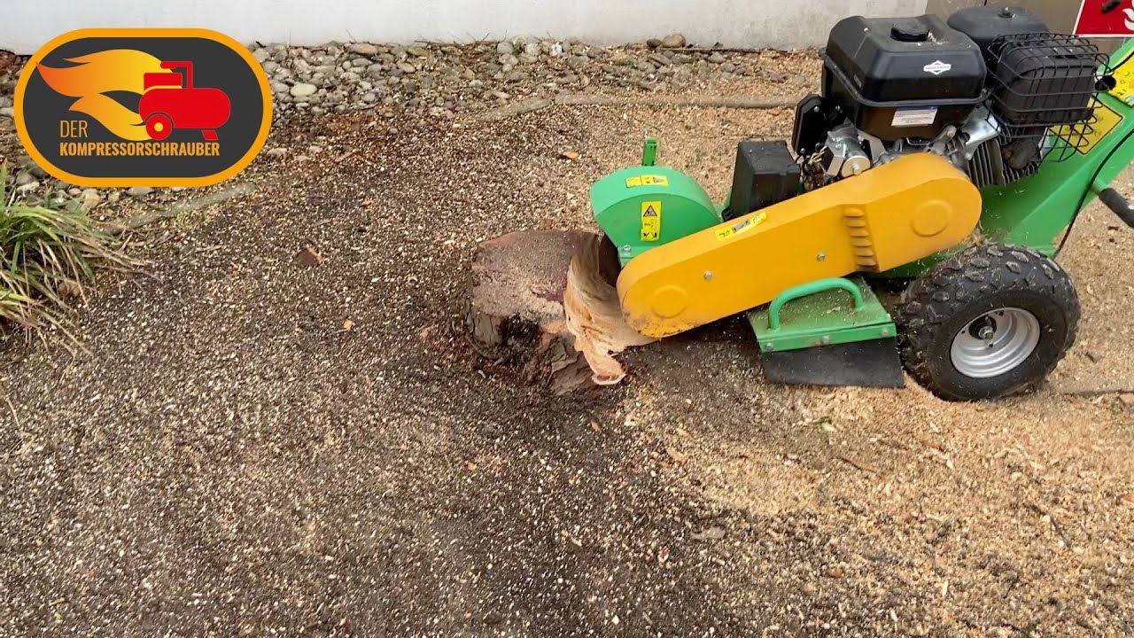 Baumstumpf fräsen mit der Victory Stubbenfräse GSF1500 stump grinder Wurzelfräse Wurzelentfernung