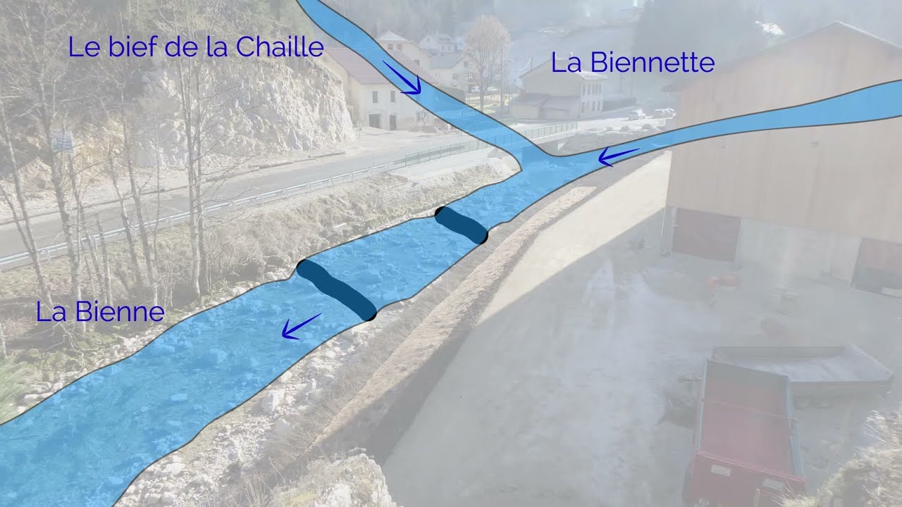 Arasement de seuils et récréation d'un lit naturel sur la Bienne