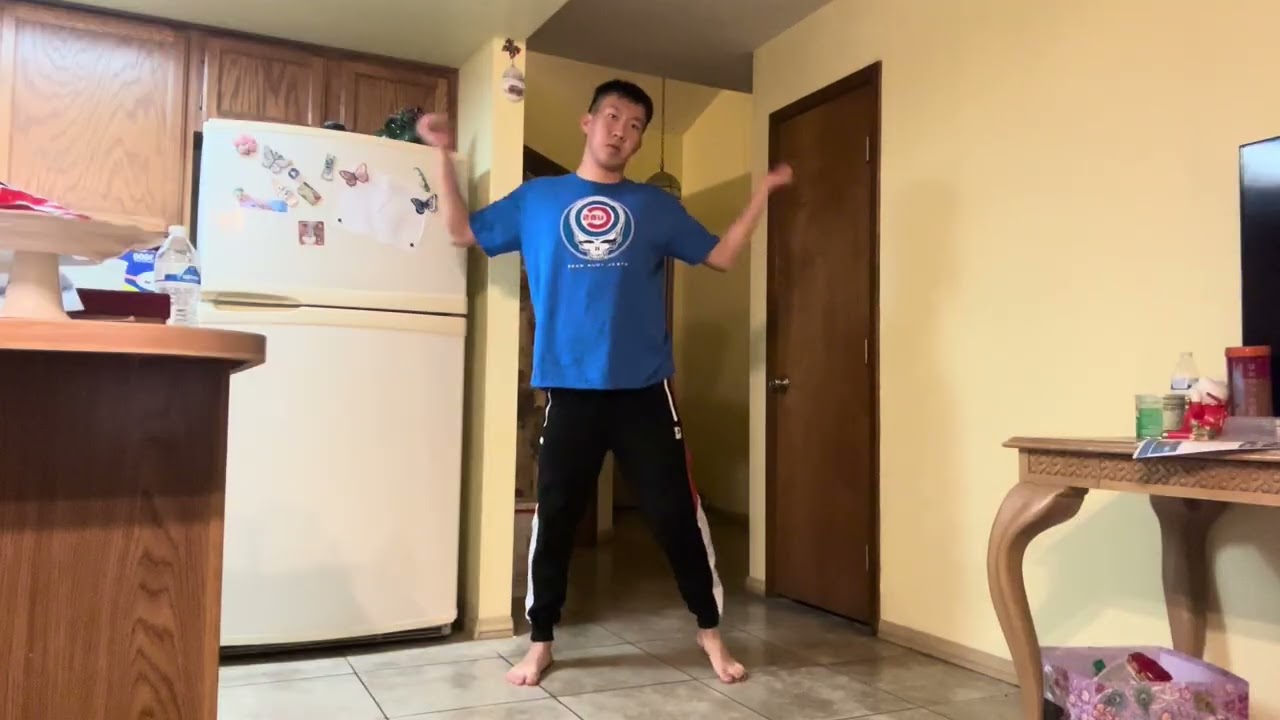Bad Apple - Dance Cover 