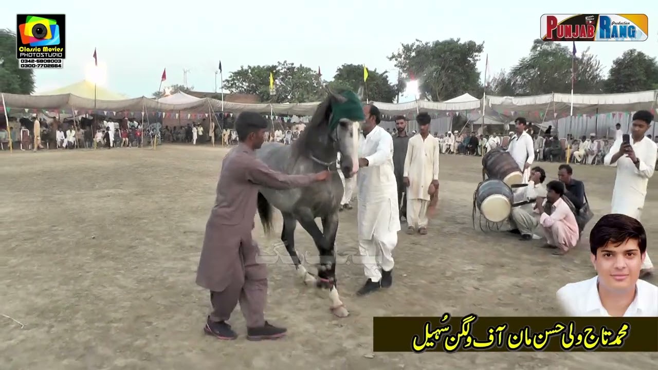 Aouqab l Surkhab l Chan Mahi l Horse Dance l Mehmood Pura Chak No 1 Nankana l 29 September 2023